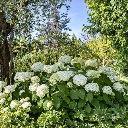 B&B Villa Adriano Desenzano del Garda Dış mekan fotoğraf